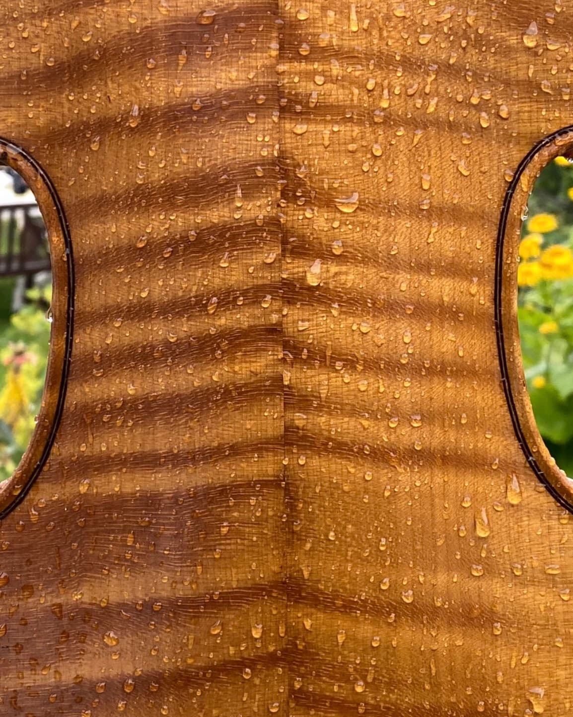 The bench at the end of a long day
