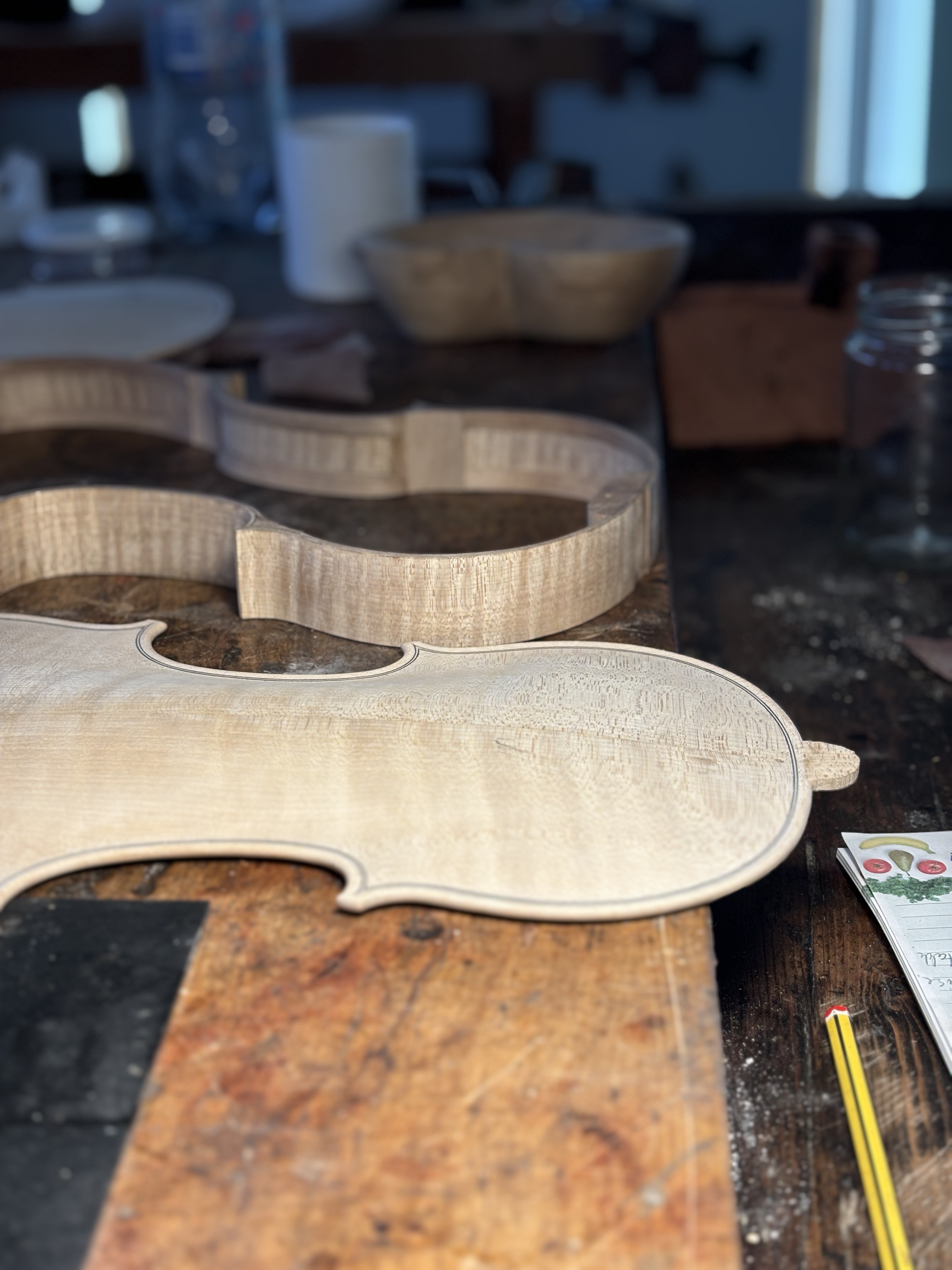 A back plate clamped during glue-up